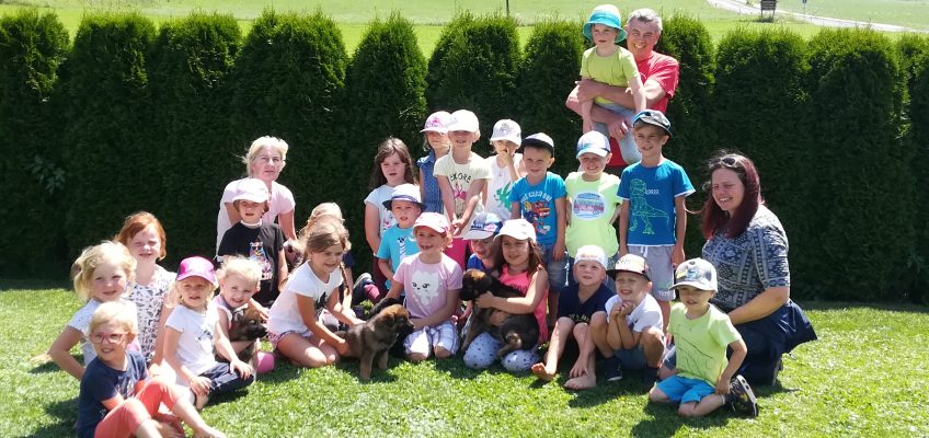 Kindergarten St.Georgen ob Judenburg zu Besuch beim Züchter Deutscher Schäferhunde von der Siegerstrasse am 04.07.2019