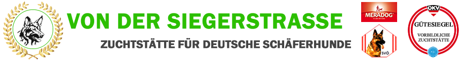 Logo Von der Siegerstrasse