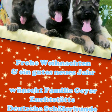 Weihnachts-Neujahr Glückwünsche