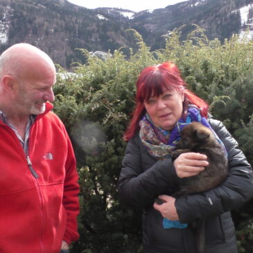 Ein Dankeschön an den Züchter von der Siegerstrasse Herrn Wolfgang Geyer